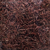 Корм для рыб "Пижон" мотыль, 10 г Корм для рыб "Пижон" мотыль, 10 г