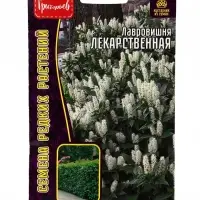 Семена цветов Лавровишня Лекарственная 3 шт. / НОВИНКА  12.29 г.