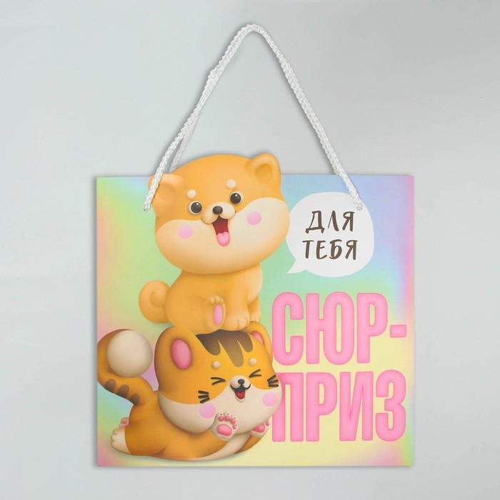 Пакет подарочный, упаковка, &laquo;Сюрприз&raquo;, 25 х 26 х 10 см