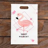 Пакет подарочный, с zip-lock застежкой, 15&times;23 см, МИКС