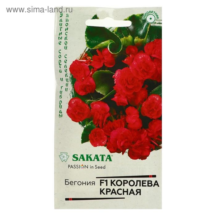 Семена цветов Бегония Семена цветов Бегония "Королева красная", F1, вечноцветущая, серия Саката, 4 шт