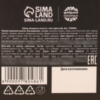Подарочный набор новогодний &laquo;Большого счастья&raquo;: травяной чай, мёд кремовый с апельсином