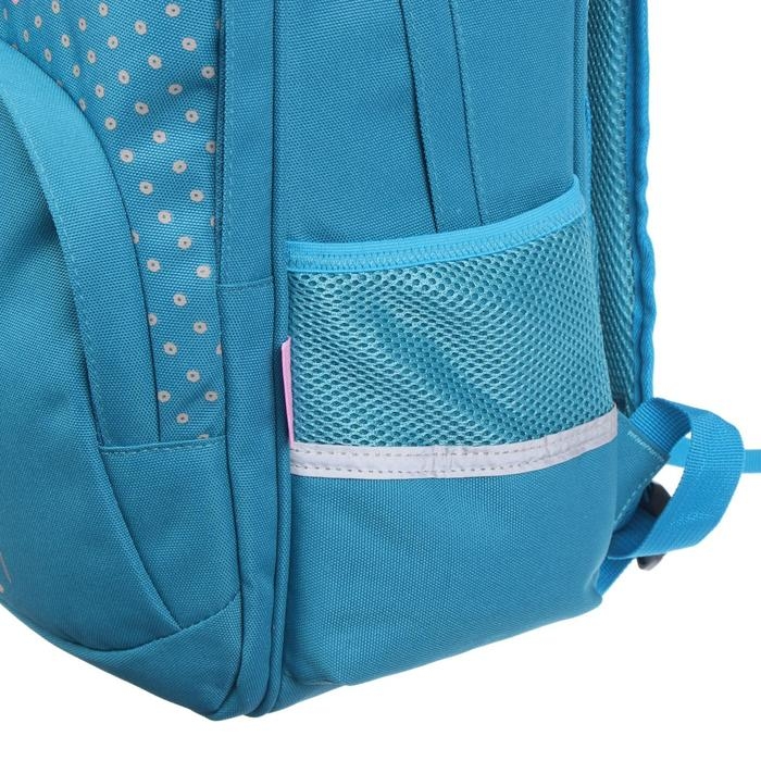 Рюкзак школьный Bruno Visconti "Ёжик", 40 х 30 х 19 см, эргономичная спинка, пенал в подарок