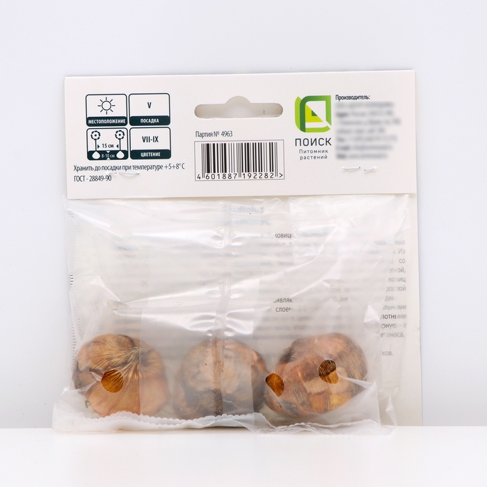 Гладиолус крупноцветковый &laquo;Кум Сьюс&raquo;, луковица цветов в пакете с перфорацией, р-р 10/12, 3 шт.