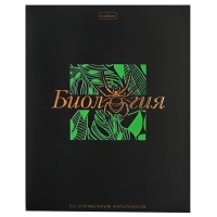 Комплект предметных тетрадей 48 листов, 12 предметов Hatber &laquo;Салют предметов&raquo;, обложка мелованный картон, матовая ламинация, 3D-лак, тиснение фоль�...