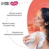 Гель для душа женский &laquo;Минуты блаженства&raquo;, 250 мл, аромат карамельного мусса, ARELA