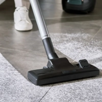 Пылесос с пылесборником Green Force Max TW4931EA, 4,5 л