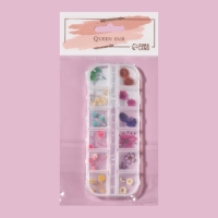 Сухоцветы для декора ногтей &laquo;Ассорти&raquo;, объёмные, 12 видов, в футляре, разноцветные