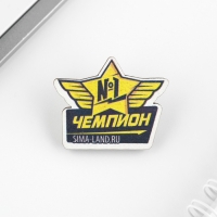 Подарочный набор блокнот, карандаши (2 шт) и значок &laquo;Только вперед&raquo;