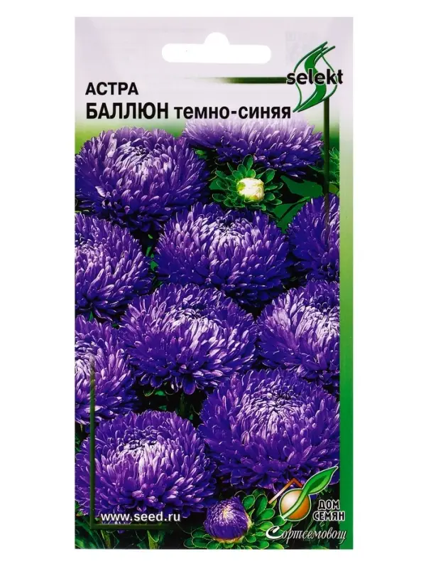Семена цветов Астра Баллюн тёмно-синяя 30 шт