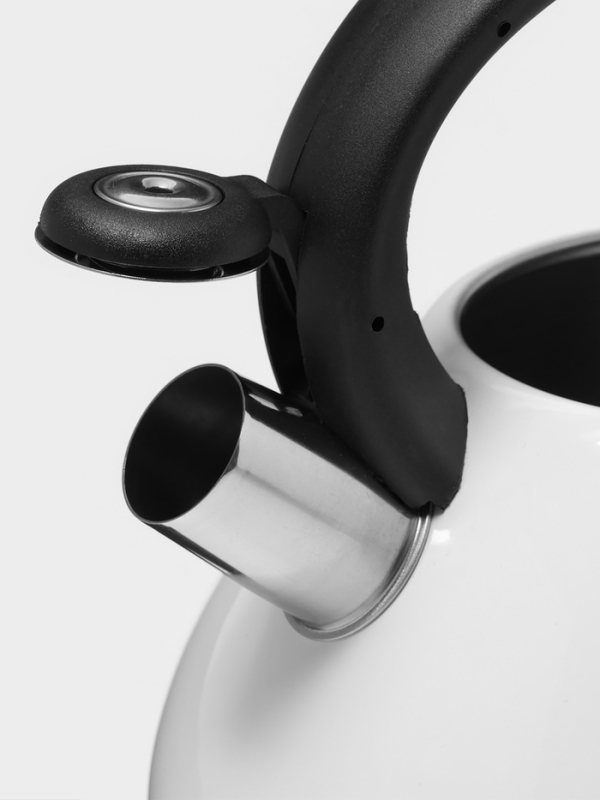 Чайник со свистком из нержавеющей стали Доляна Magic birds, 3 л, с индикатором нагрева, индукция