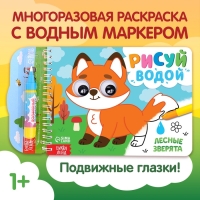 Водная раскраска &laquo;Рисуй водой. Лесные зверята&raquo;