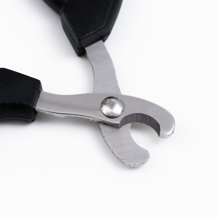 Ножницы-когтерезы "Пижон" Premium с эргономичной ручкой, чёрно-бежевые