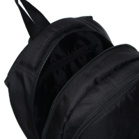 Рюкзак молодёжный, школьный, 41&times;28&times;15 см, эргономичная спинка, Stavia &laquo;Реалист&raquo; чёрный