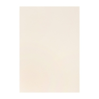 Бумага для пастели А4, 10 листов, "Архитектура", бумага слоновая кость, ГОЗНАК, тиснение "холст", блок 200 г/м2, в папке Бумага для пастели А4, 10 листов, "Архитектура", бумага слоновая кость, ГОЗНАК, тиснение "холст", блок 200 г/м2, в папке