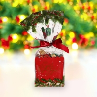 Новый год. Конфеты глазированные "Территория волшебства", МИКС, 170 г