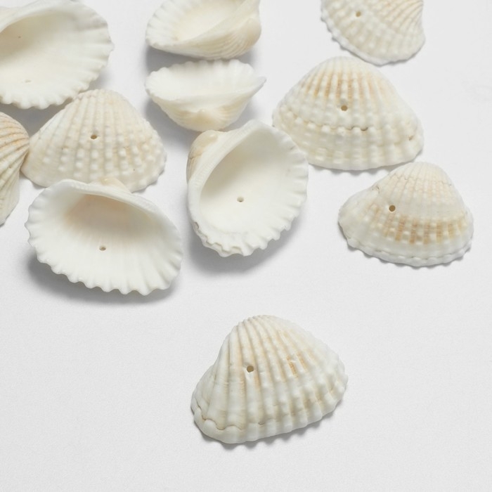 Бусины &laquo;Ракушка&raquo;, 3&times;2 см, половинка, набор 100г, цвет белый