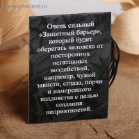 Руна &laquo;Защитный щит&raquo;, 68 см