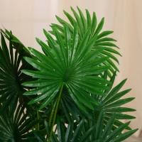 Дерево искусственное "Ливистона" 75 см Дерево искусственное "Ливистона" 75 см