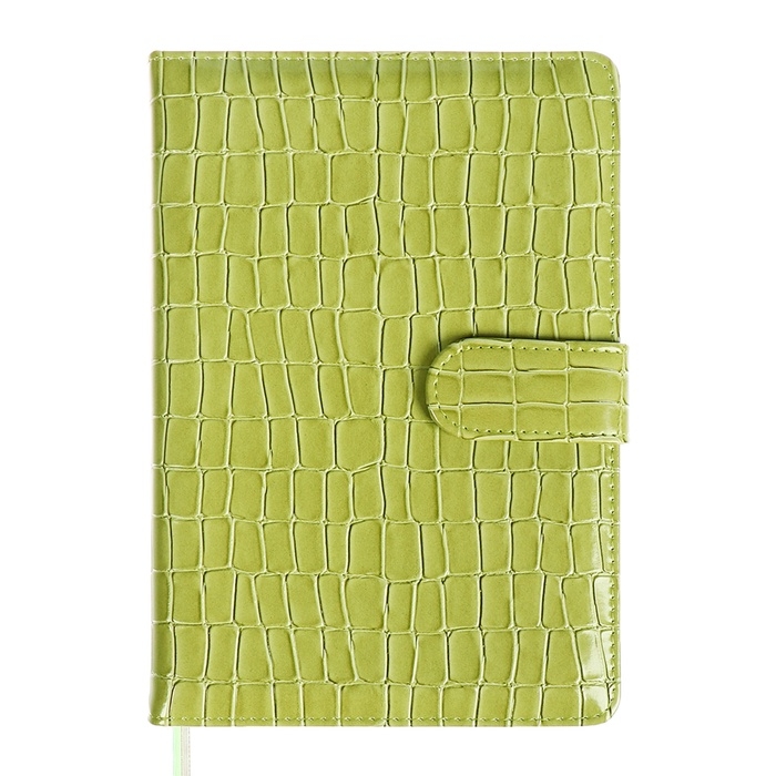 Ежедневник датированный 2025 года, A5, 168 листов, deVENTE. Barbara, твердая обложка кожзам с поролоном, перфорацией, ляссе, блок 70, зеленый Ежедневник датированный 2025 года, A5, 168 листов, deVENTE. Barbara, твердая обложка кожзам с поролоном, перфорацией, ляссе, блок 70, зеленый