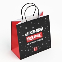 Пакет подарочный новогодний &laquo;Небольшой подарок&raquo;, 22 х 22 х 11 см , Новый год