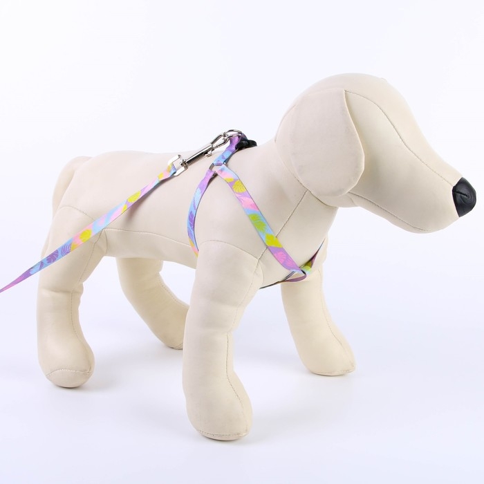 Комплект &laquo;Листья&raquo;, шлейка 24-36 см, поводок 120х1 см