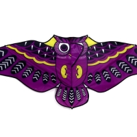 Воздушный змей &laquo;Сова&raquo;, с леской, МИКС