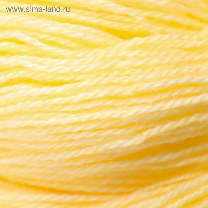 Пряжа Пряжа "Карачаевская" 100% акрил 820-850м/250-280гр (24 Шампанское)