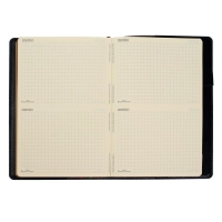 Ежедневник полудатированный А5, 208 листов Profy, рециклированная кожа, сменный блок, золотой срез, чёрный