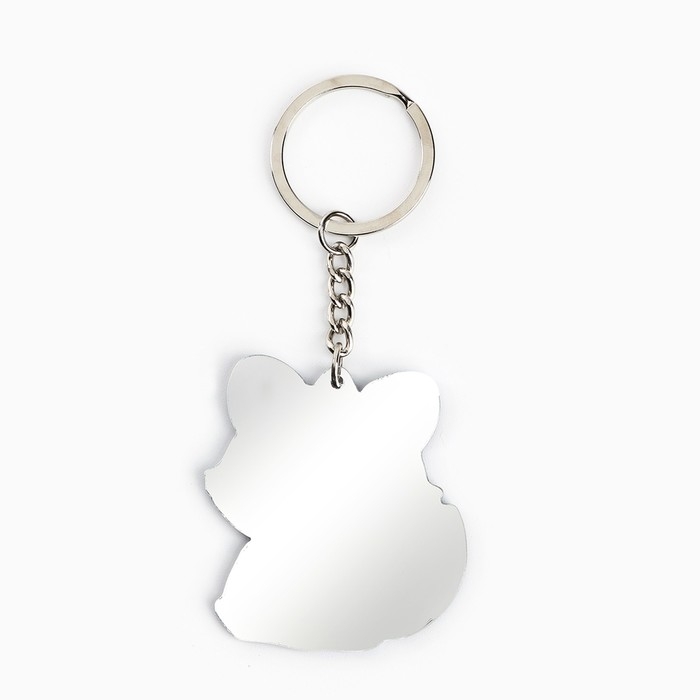 Брелок для ключей зеркало &laquo;Ослепляй своей красотой&raquo;, 9 х 4.1 см