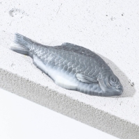 Подарочный набор косметики &laquo;Самый лучший&raquo;, гель для душа и шампунь для волос во флаконах пиво 2 х 250 мл, мыло в форме воблы 70 г, Новый Год