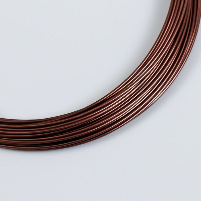 Проволока для рукоделия "Астра" 1 мм, 10 м, тёмно-коричневый