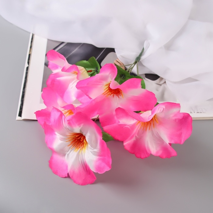 Букет Букет "Адениум экстра галант" d-14 см 30 см, микс