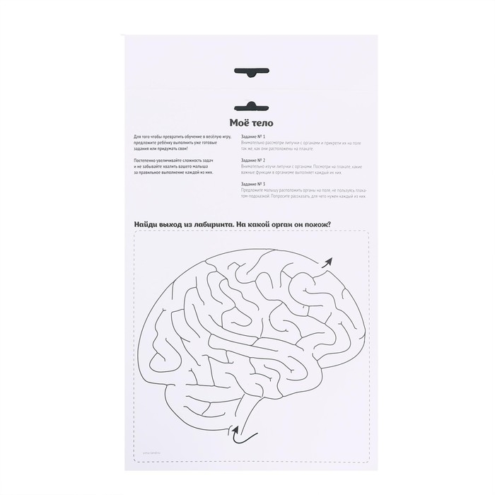 Игра на липучках &laquo;Моё тело&raquo;, анатомия