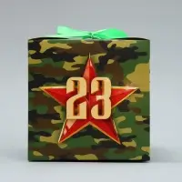 Коробка подарочная складная, упаковка, &laquo;С 23 февраля, камуфляж&raquo;, 12 х 12 х 12 см
