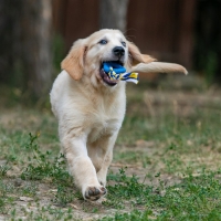 Игрушка "Сердечко с канатом", 7 см, голубое