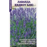 Семена Лаванда Хидкот Блю  /Сотка/ 10шт/*2000