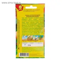 Семена Тыква крупноплодная "Небывалый размах", 2 г