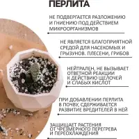 Перлит песок "Рецепты Дедушки Никиты" марка М75 1 л.