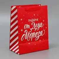 Набор новогодних пакетов &laquo;Новогодний подарок&raquo;