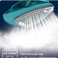 Паровой утюг Express Steam FV2867E0, с автоотключением