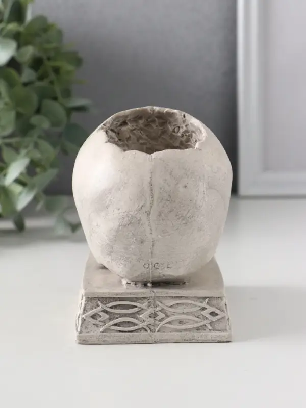 Подсвечник &laquo;Череп на пьедестале&raquo;, 10&times;7&times;10.5 см, серый