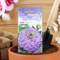 Семена цветов Цинния Лаванда "Лавандовые грёзы", ц/п,  0,5 г