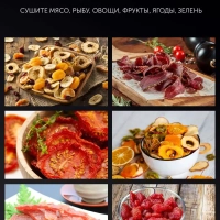 Сушилка для овощей и фруктов Дегидратор PFD 2108PV