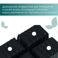 Кассета для рассады, на 4 ячейки, по 180 мл, пластиковая, чёрная, 18 &times; 13 &times; 6 см, в наборе 10 кассет, Greengo