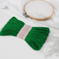 Набор ниток мулине №909, 8 ± 1 м, 6 шт, цвет изумрудный Набор ниток мулине №909, 8 ± 1 м, 6 шт, цвет изумрудный