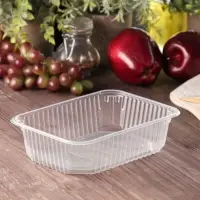 Контейнер одноразовый &laquo;Юпласт&raquo;, пластик, 750 мл, 18.6&times;13.2&times;4.8 см, прозрачный