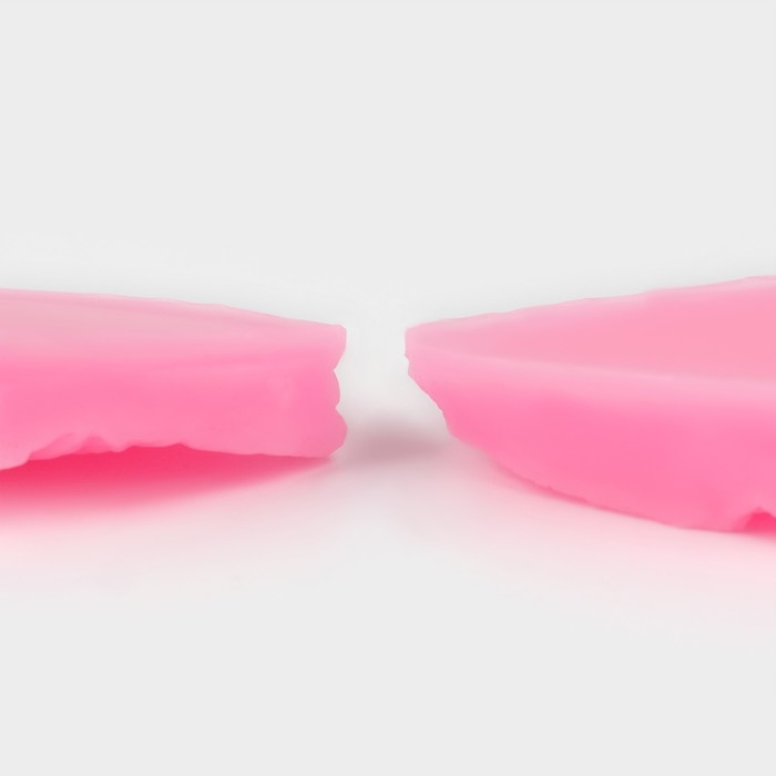 Молд &laquo;Лист розы&raquo;, силикон, 2 предмета, 5&times;3 см, цвет МИКС