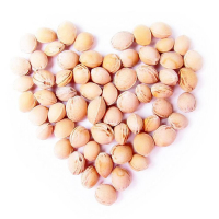 Развивающая игрушка с вишнёвыми косточками &laquo;Крошка Зайка. Доктор мякиш&raquo;