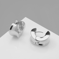 Серьги металл &laquo;Аккорд&raquo; круг вогнутый, цвет серебро